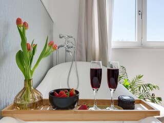 Villa Stankovci Features 12