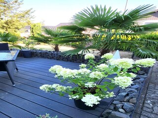 Apartamento Pracht Grabación al aire libre 4