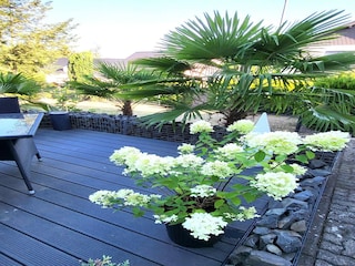 Appartement Pracht Buitenaudio-opname 7