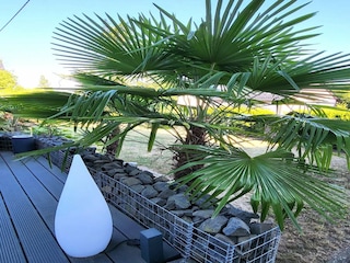 Apartment Pracht Outdoor Recording 4