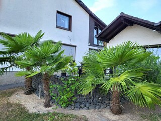 Appartement Pracht Buitenaudio-opname 2