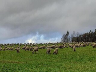 Appartement Pracht Environnement 26