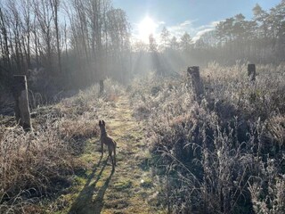 Apartamento Pracht Entorno 26