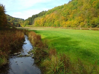 Apartment Pracht Environment 28