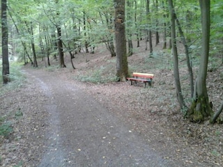 Appartement Pracht Environnement 37