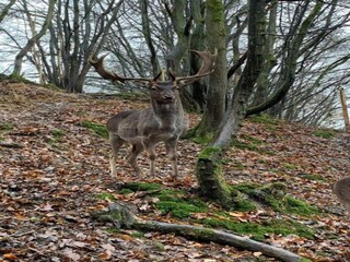 Apartamento Pracht Entorno 38