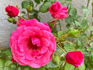 Appartement Uddevalla Buitenaudio-opname 2