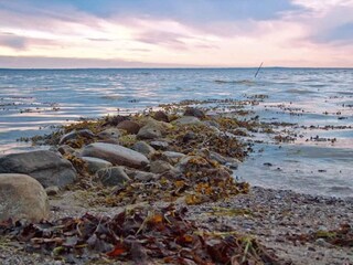 Maison de vacances Asperup  31