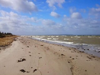 Vakantiehuis Asperup  12