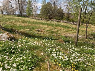 Holiday house Ulricehamn  30