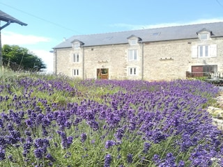 Ferienhaus Tournières Außenaufnahme 3