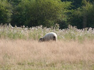 Ferienhaus Tournières Umgebung 23