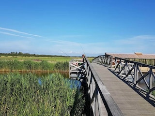 Casa de vacaciones Ringkøbing  36