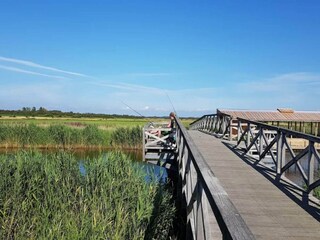 Vakantiehuis Ringkøbing  20