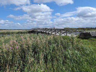 Maison de vacances Ringkøbing  33