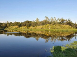 Casa per le vacanze Ringkøbing  39
