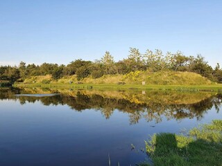 Ferienhaus Ringkøbing  48