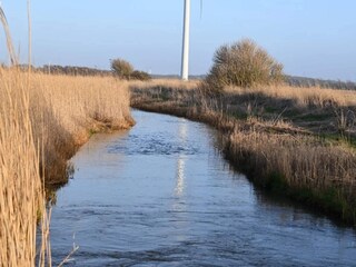 Ferienhaus Ringkøbing  50