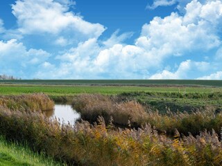 Vakantiehuis Sint-Maartensdijk Omgeving 35