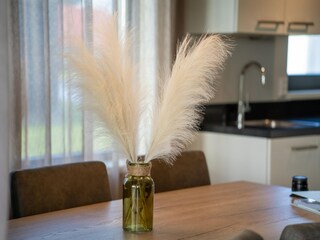 Casa per le vacanze Sint-Maartensdijk  38