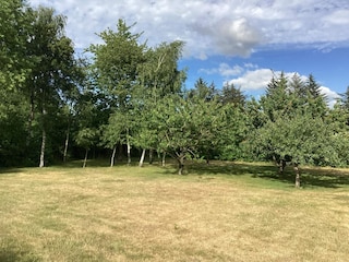 Ferienhaus Virksund  7