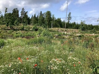 Vakantiehuis Visjö Buitenaudio-opname 2
