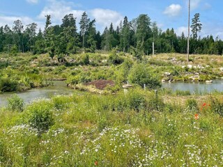 Ferienhaus Visjö  12