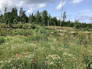 Holiday house Visjö Outdoor Recording 8