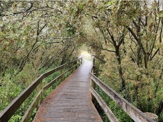 Holiday house Bjerge Strand  38