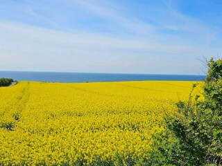 Casa de vacaciones Bjerge Strand  25