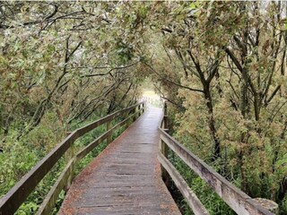 Casa de vacaciones Bjerge Strand  11