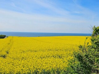 Vakantiehuis Bjerge Strand  13