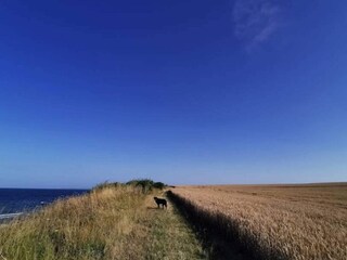 Vakantiehuis Bjerge Strand  14