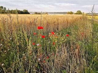 Vakantiehuis Bjerge Strand  10