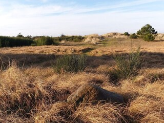 Ferienhaus Bjerge Strand  38