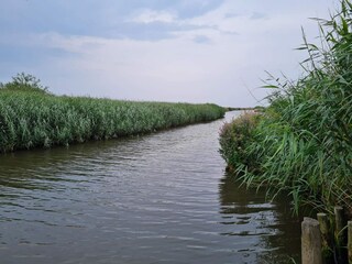 Appartement Sæby  35