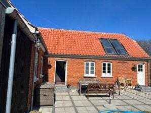 6 Personen Ferienhaus in Skagen - Hulsig - image1