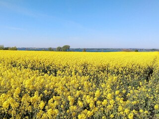 Apartment Kegnæs  25