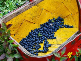 Appartement Strömstad  19