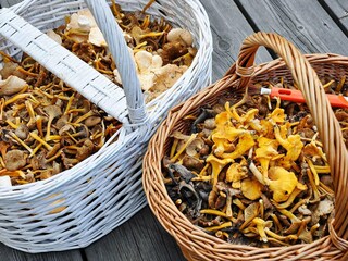 Appartement Strömstad  20