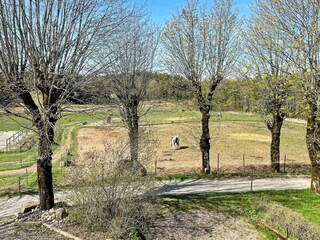 Appartement Strömstad  12