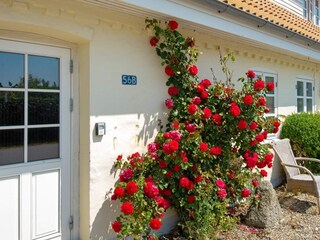 Vakantiehuis Kegnæs Buitenaudio-opname 3