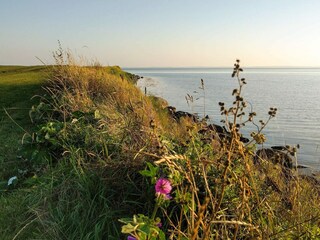 Ferienhaus Kegnæs  23