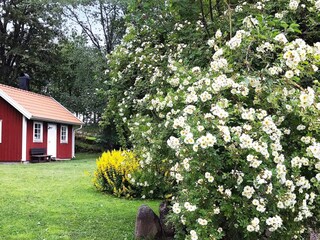 Holiday house Floby Outdoor Recording 6