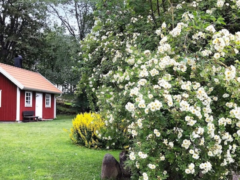 Vakantiehuis 4 persoons vakantie huis in FALKÖPING-By Traum