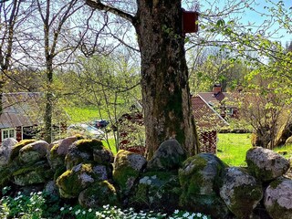 Vakantiehuis Floby  21