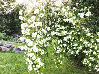 Ferienhaus Floby  21