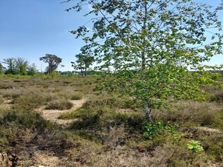 Ferienhaus Oud-Turnhout Umgebung 31