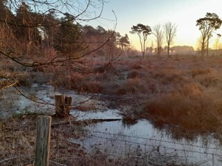 Casa per le vacanze Oud-Turnhout Ambiente 32