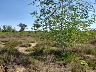 Ferienhaus Oud-Turnhout Umgebung 33